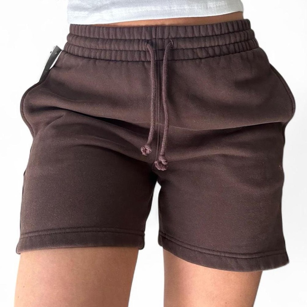 Aritzia Brown Shorts